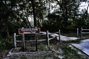 Trembling Earth